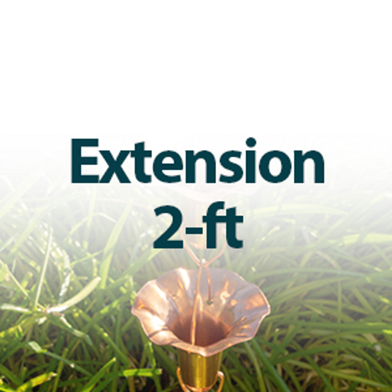 Extensions - 2 ft